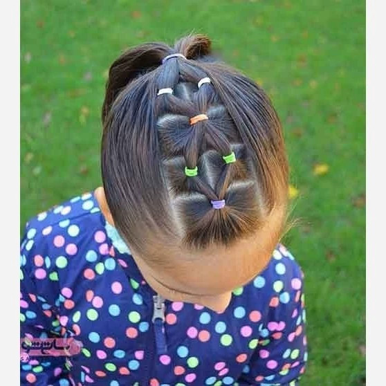 کش مو چهل گیس بی رنگ و رنگی