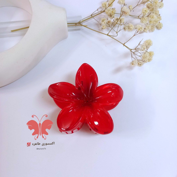 کلیپس مو پلومریا بزرگ کد 98