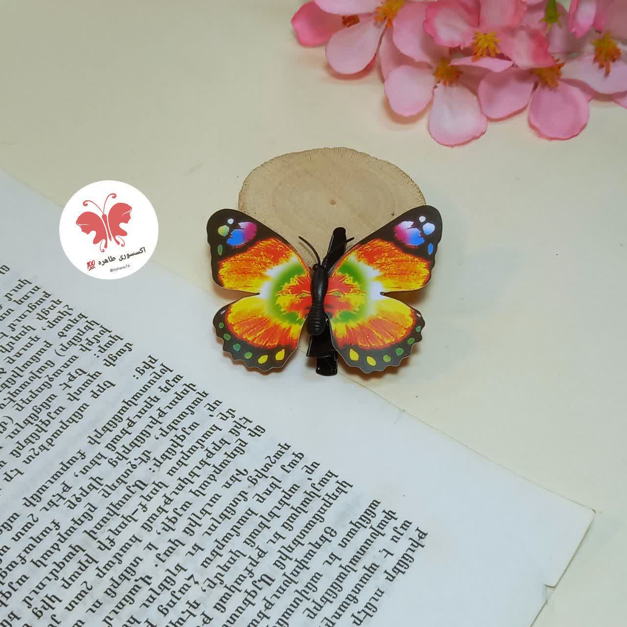 گیره سر انبری پروانه ای